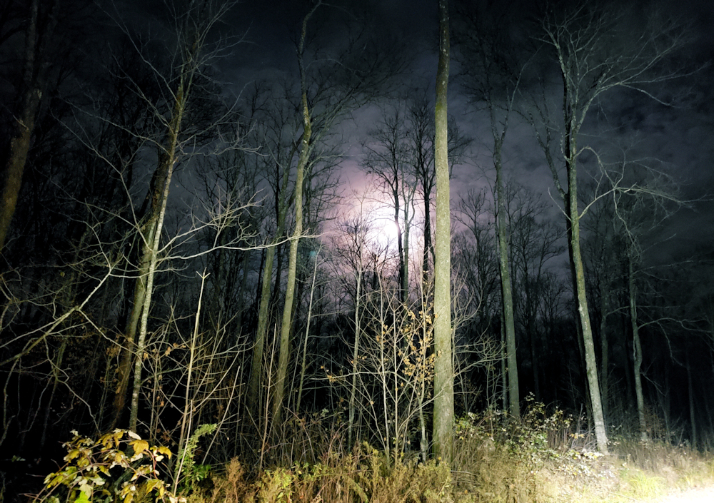 Night scene on an ATV trail with a large moon